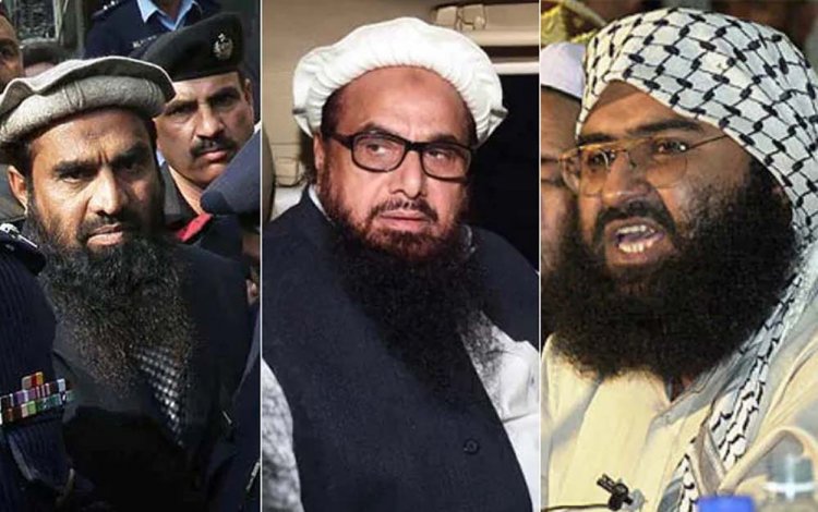 उल्लंघन के आरोप वाली रिपोर्ट के बाद अमेरिकी सीनेटर का भारतीय झींगा उद्योग पर कार्रवाई करने का आग्रह