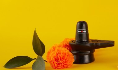 4 जून को मासिक शिवरात्रि, भोलेनाथ को प्रसन्न करने के लिए करें ये विशेष उपाय