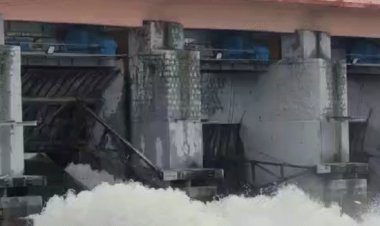 भोपाल के भदभदा-कलियासोत के 1-1 गेट खुले:बड़ा तालाब के कैचमेंट एरिया में बारिश; अब तक 43 इंच पानी गिरा