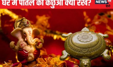 घर में पीतल का कछुआ क्यों रखना चाहिए? वास्तु शास्त्र में क्या है इसका महत्व