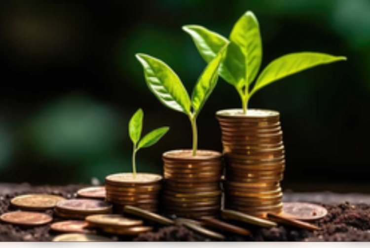 म्यूचुअल फंड्स में बड़े पैमाने पर निवेश कर रही महिलाएं, एयूएम पांच वर्षों में दोगुना हुआ: रिपोर्ट