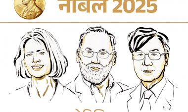 फिजिक्स-केमिस्ट्री और मेडिसिन में नोबेल:3-3 साइंटिस्ट्स को मिला सम्मान, जानें केमिस्ट्री की खोज का हैरी पॉटर की हरमाइनी से कनेक्शन