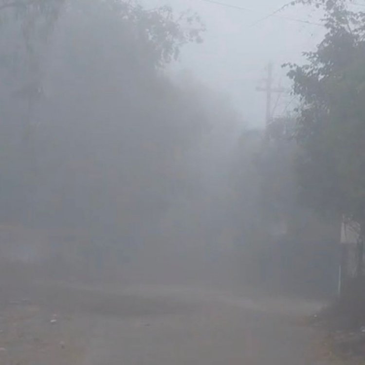 धार में पारा 6.5 डिग्री पहुंचा, शीतलहर से ठिठुरा शहर:कोहरे के बीच स्कूल जा रहे बच्चे, चने की फसल खराब होने का डर